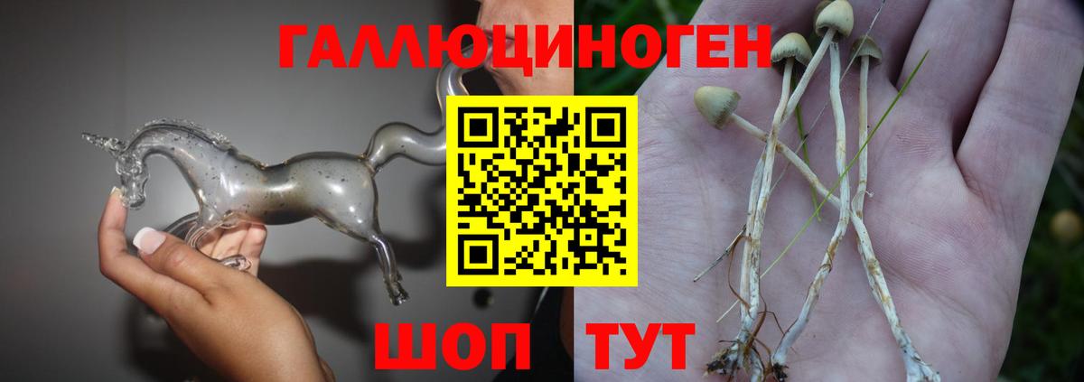 Печора  что такое наркотик  Вход с VPN  Псилоцибиновые грибы мухоморы 